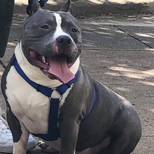 Meet your Posher, James